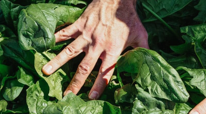 Boostez votre libido avec ces astuces sexy